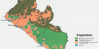 Карта расліннасці карта Лібэрыі